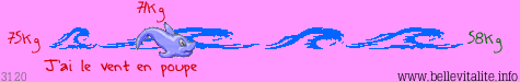 r�glette poids 3120_06-02-12_12-06.png