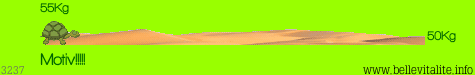 r�glette poids 3237_19-02-12_19-21.png