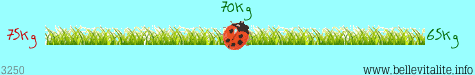 r�glette poids 3250_20-02-12_23-06.png