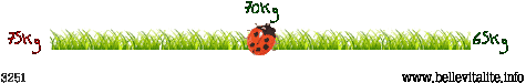 r�glette poids 3251_20-02-12_23-06.png